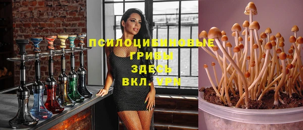 mdpv Белокуриха