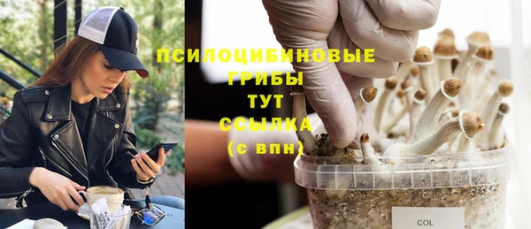mdpv Белокуриха