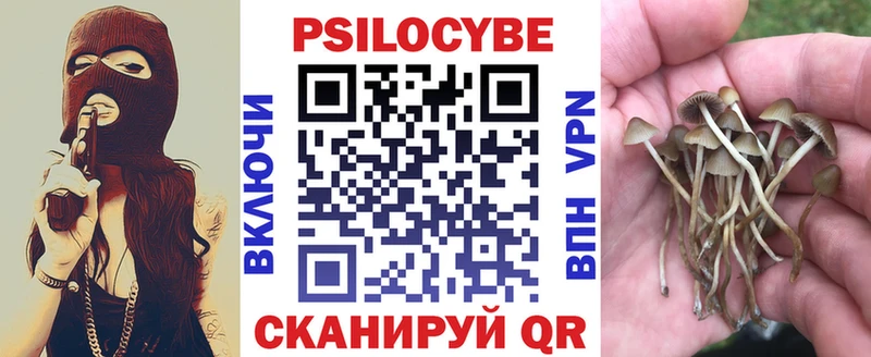 Псилоцибиновые грибы мухоморы  цены наркотик  Яхрома 